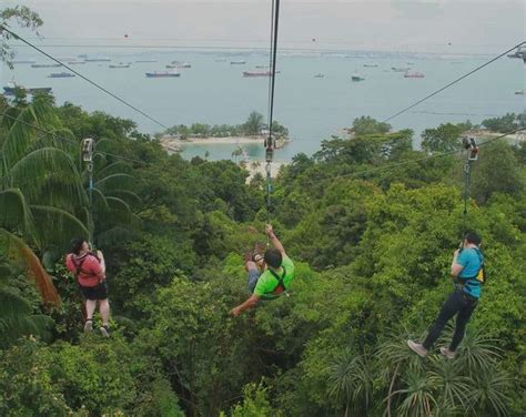 zip wire singapore